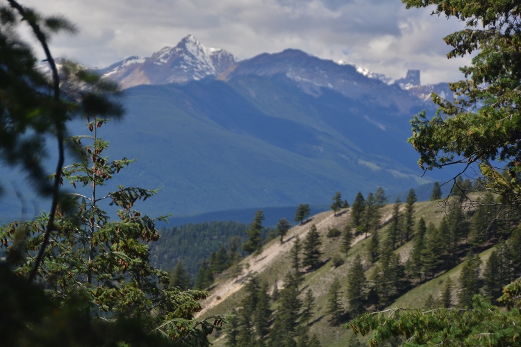 panorama of mountains